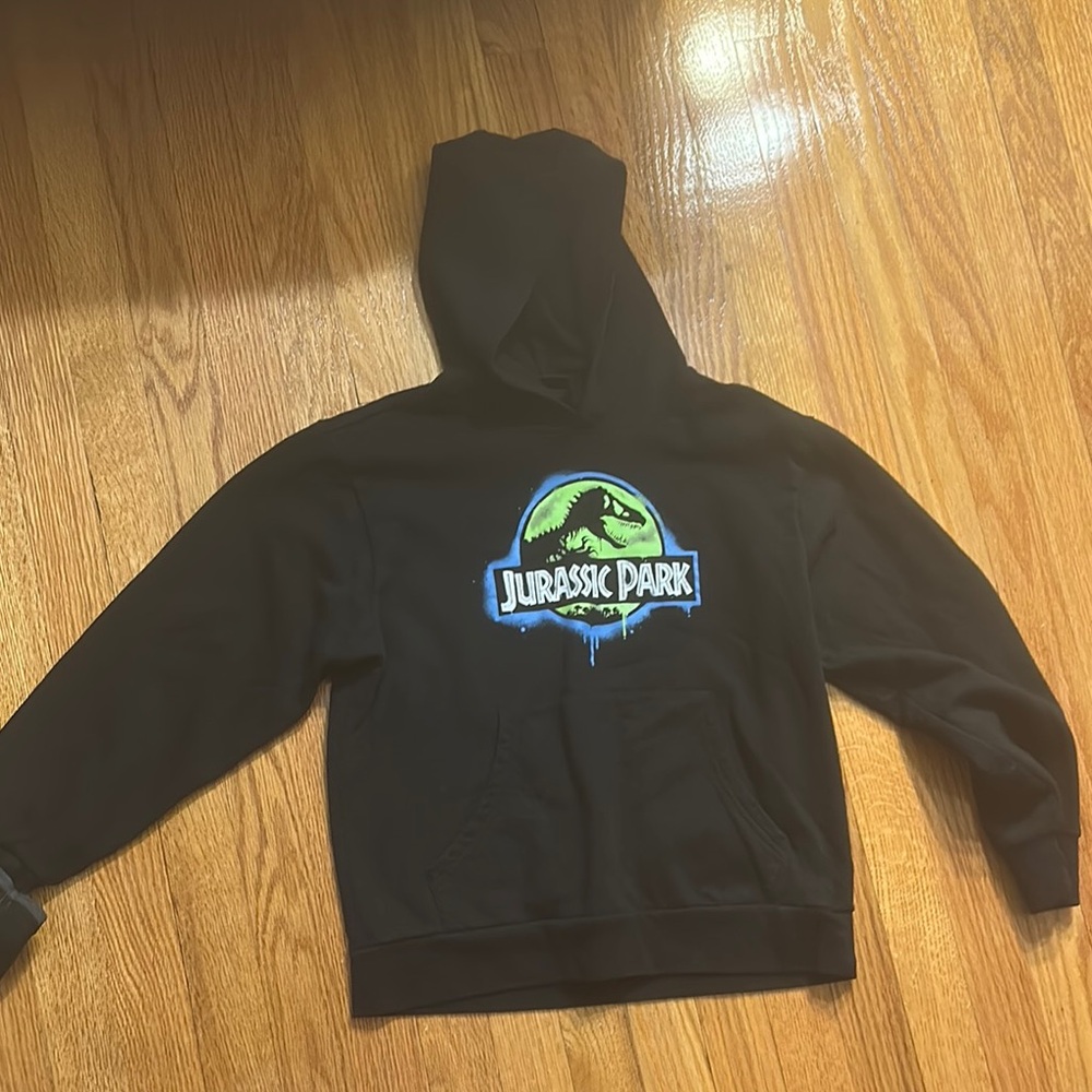Black Jurassic Park Hoodie